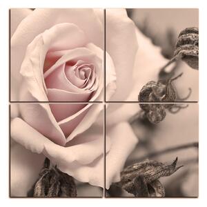 Slika na platnu - Ruža i suhe biljke - kvadrat 3225FE (60x60 cm)