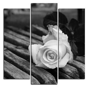 Slika na platnu - Bijela ruža na klupi - kvadrat 3224QC (75x75 cm)