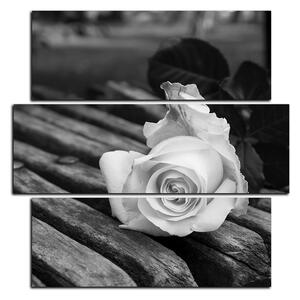 Slika na platnu - Bijela ruža na klupi - kvadrat 3224QD (75x75 cm)