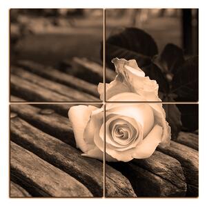 Slika na platnu - Bijela ruža na klupi - kvadrat 3224FE (60x60 cm)