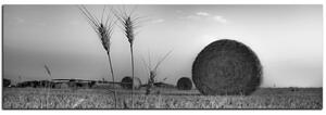 Slika na platnu - Stogovi sijena u polju - panorama 5211QA (105x35 cm)
