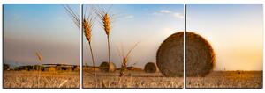 Slika na platnu - Stogovi sijena u polju - panorama 5211C (90x30 cm)
