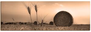 Slika na platnu - Stogovi sijena u polju - panorama 5211FA (105x35 cm)