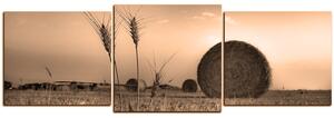 Slika na platnu - Stogovi sijena u polju - panorama 5211FD (150x50 cm)