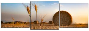 Slika na platnu - Stogovi sijena u polju - panorama 5211D (150x50 cm)