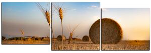 Slika na platnu - Stogovi sijena u polju - panorama 5211E (90x30 cm)