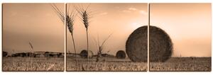 Slika na platnu - Stogovi sijena u polju - panorama 5211FC (150x50 cm)