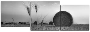 Slika na platnu - Stogovi sijena u polju - panorama 5211QE (90x30 cm)