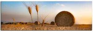 Slika na platnu - Stogovi sijena u polju - panorama 5211A (105x35 cm)