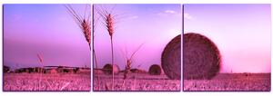 Slika na platnu - Stogovi sijena u polju - panorama 5211VB (120x40 cm)