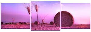 Slika na platnu - Stogovi sijena u polju - panorama 5211VD (90x30 cm)