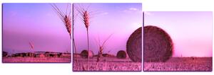 Slika na platnu - Stogovi sijena u polju - panorama 5211VE (90x30 cm)