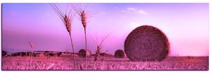 Slika na platnu - Stogovi sijena u polju - panorama 5211VA (105x35 cm)