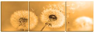 Slika na platnu - Maslačak na jutarnjem suncu - panorama 5214FC (120x40 cm)