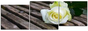 Slika na platnu - Bijela ruža na klupi - panorama 5224E (90x30 cm)