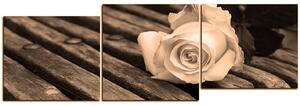 Slika na platnu - Bijela ruža na klupi - panorama 5224FE (150x50 cm)