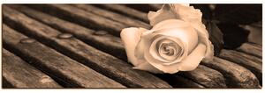 Slika na platnu - Bijela ruža na klupi - panorama 5224FA (105x35 cm)