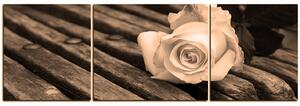Slika na platnu - Bijela ruža na klupi - panorama 5224FC (150x50 cm)