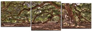 Slika na platnu - Prastari živi hrast - panorama 5238E (150x50 cm)