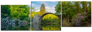 Slika na platnu - Most u parku u Kromlau - panorama 5246E (150x50 cm)
