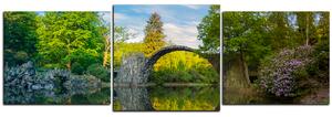 Slika na platnu - Most u parku u Kromlau - panorama 5246D (150x50 cm)