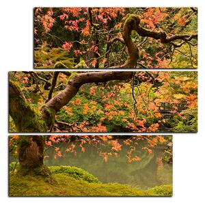 Slika na platnu - Crveni javor jesen - kvadrat 3241D (75x75 cm)