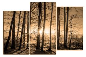 Slika na platnu - Jesenje jutro u šumi 1251FD (90x60 cm)