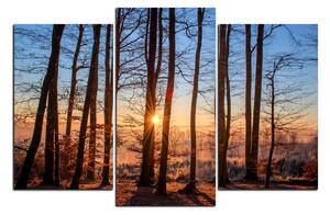 Slika na platnu - Jesenje jutro u šumi 1251C (90x60 cm)