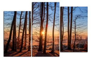 Slika na platnu - Jesenje jutro u šumi 1251D (90x60 cm)