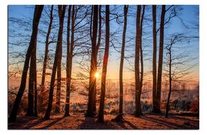 Slika na platnu - Jesenje jutro u šumi 1251A (90x60 cm )