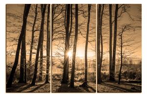 Slika na platnu - Jesenje jutro u šumi 1251FB (150x100 cm)