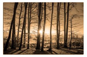Slika na platnu - Jesenje jutro u šumi 1251FA (90x60 cm )