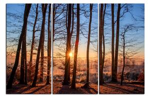 Slika na platnu - Jesenje jutro u šumi 1251B (105x70 cm)