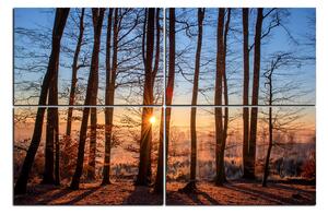 Slika na platnu - Jesenje jutro u šumi 1251E (90x60 cm)