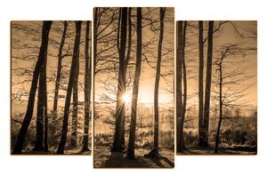 Slika na platnu - Jesenje jutro u šumi 1251FC (90x60 cm)