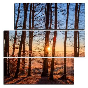 Slika na platnu - Jesenje jutro u šumi - kvadrat 3251D (75x75 cm)