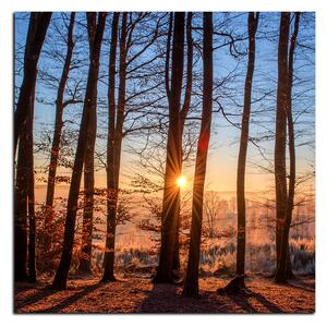 Slika na platnu - Jesenje jutro u šumi - kvadrat 3251A (50x50 cm)