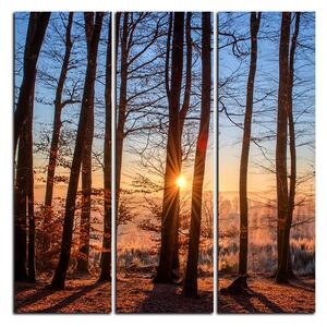 Slika na platnu - Jesenje jutro u šumi - kvadrat 3251B (75x75 cm)