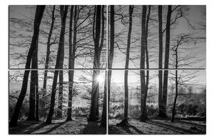 Slika na platnu - Jesenje jutro u šumi 1251QE (120x80 cm)