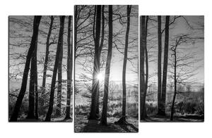 Slika na platnu - Jesenje jutro u šumi 1251QC (120x80 cm)