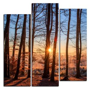 Slika na platnu - Jesenje jutro u šumi - kvadrat 3251C (75x75 cm)