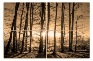 Slika na platnu - Jesenje jutro u šumi 1251FE (150x100 cm)