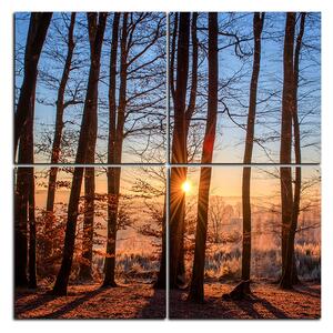 Slika na platnu - Jesenje jutro u šumi - kvadrat 3251E (60x60 cm)