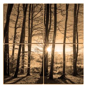Slika na platnu - Jesenje jutro u šumi - kvadrat 3251FE (60x60 cm)