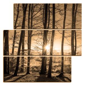 Slika na platnu - Jesenje jutro u šumi - kvadrat 3251FD (75x75 cm)
