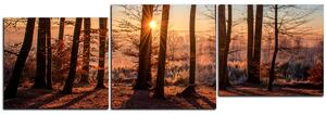 Slika na platnu - Jesenje jutro u šumi - panorama 5251E (90x30 cm)