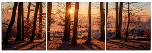 Slika na platnu - Jesenje jutro u šumi - panorama 5251C (150x50 cm)