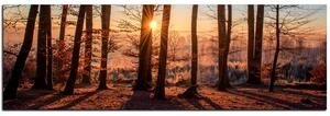 Slika na platnu - Jesenje jutro u šumi - panorama 5251A (105x35 cm)