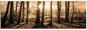 Slika na platnu - Jesenje jutro u šumi - panorama 5251FA (105x35 cm)