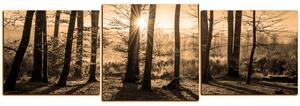 Slika na platnu - Jesenje jutro u šumi - panorama 5251FD (90x30 cm)